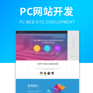 Pc网站开发 网站定制开发
