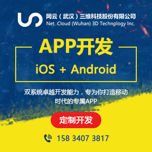 APP开发
