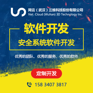 安全可视化系统开发
