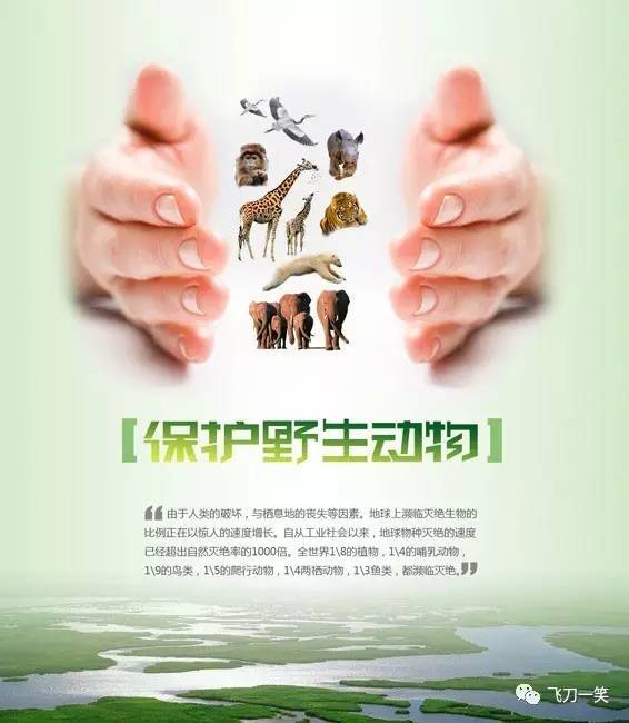 怎么样才能做出一个好的公益广告呢