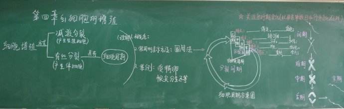 生物课板书设计案例欣赏