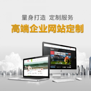 高端企业网站开发及优化