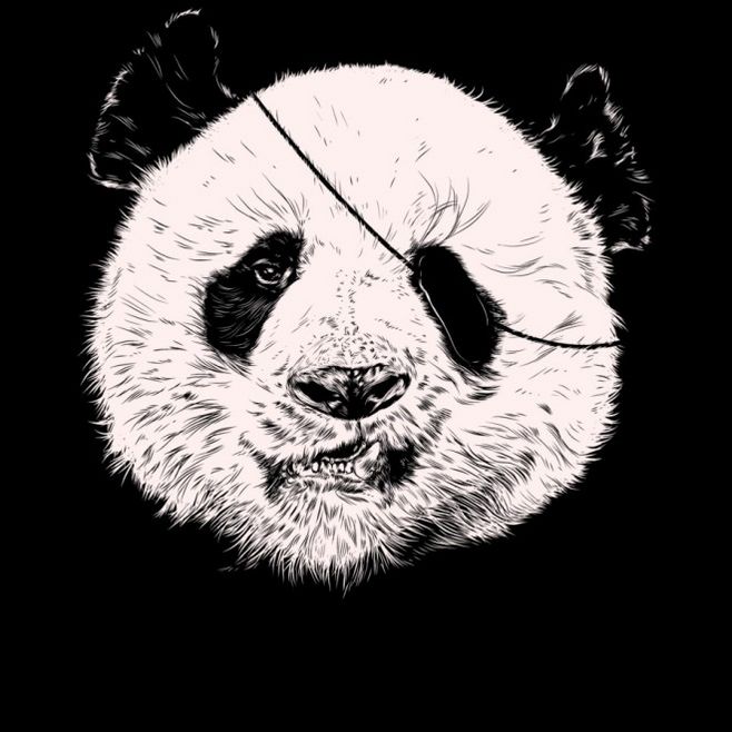 可爱的海盗熊猫T恤设计