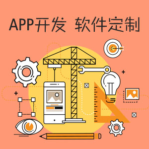 APP定制开发 Android软件、IOS软件开发