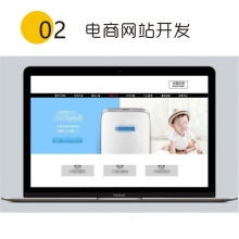 电商网站开发