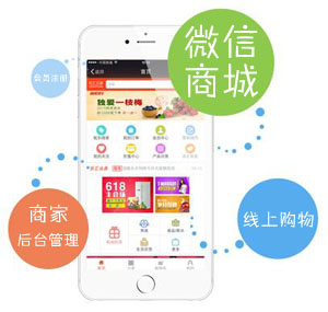 微信商城 微信三级分销商城开发