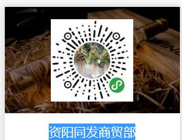 资阳同发商贸部