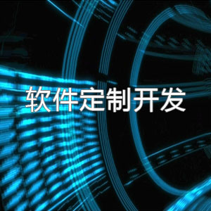 软件定制开发