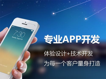 APP开发（深入定制版）