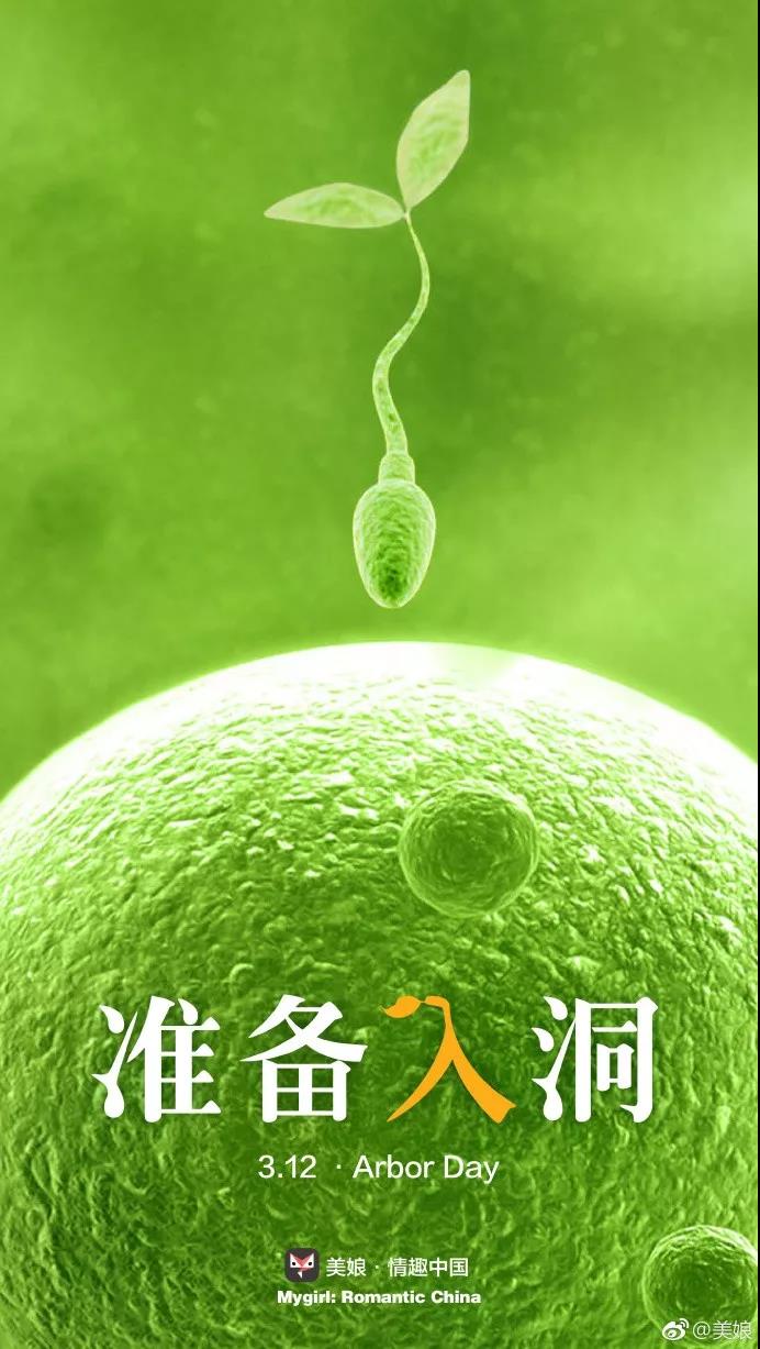 植树节，杜蕾斯又赢了