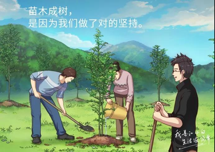 植树节，杜蕾斯又赢了