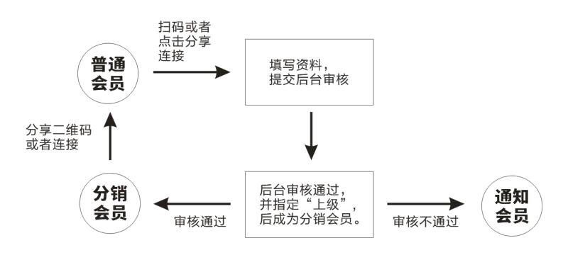 10级分销