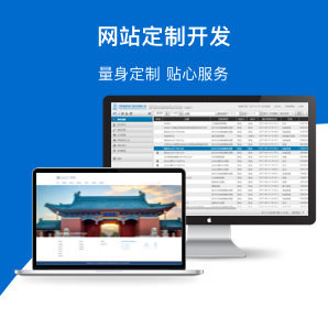 网站定制开发