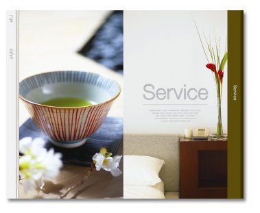 价值百万美金的一份楼书设计作品欣赏