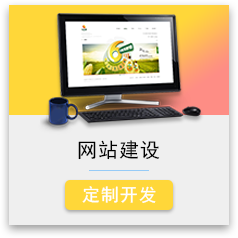 企业展示型网站/营销型/电商/资讯/门户/电商型网站建设 支持定制开发