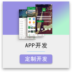 APP定制开发 移动应用开发