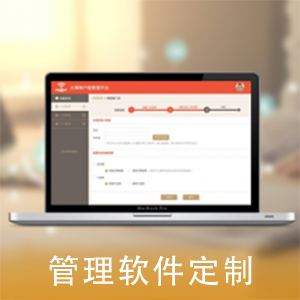 软件定制