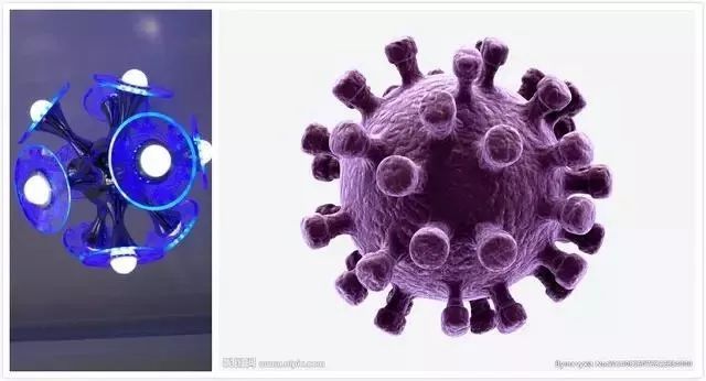 当初装修时脑子里进的水！