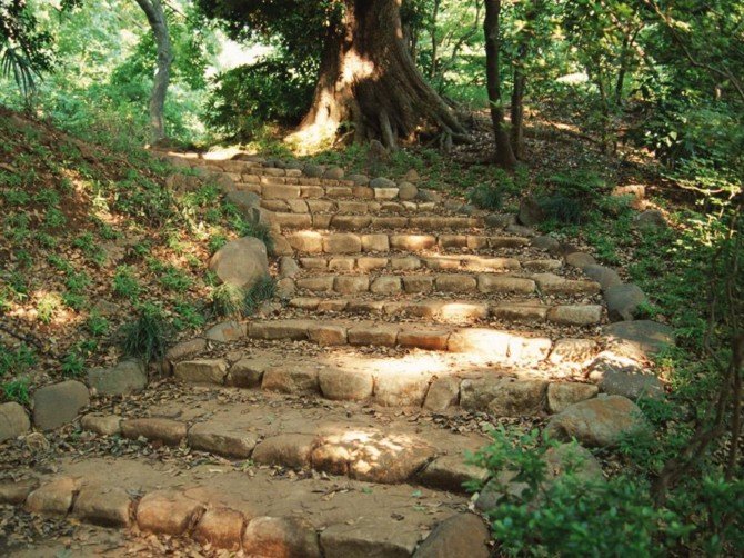 国外林荫小道景观欣赏 国外林荫小道景观欣赏