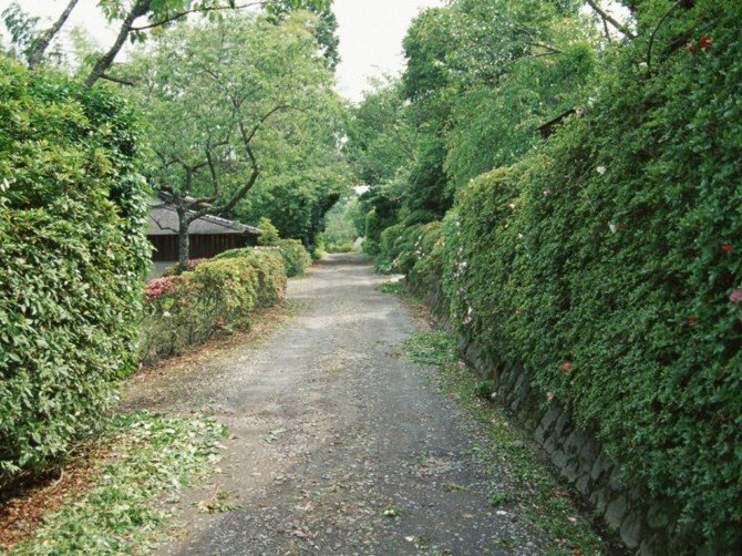 国外林荫小道景观欣赏 庄园小径园林景观设计欣赏