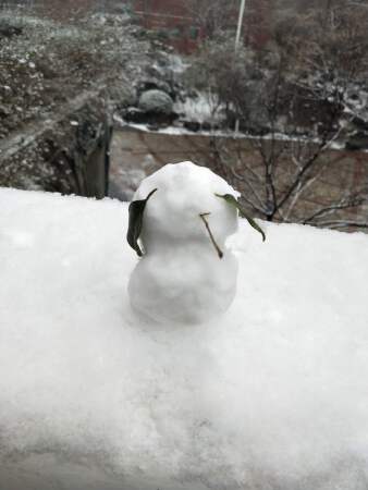 编写APP，游戏辅助软件