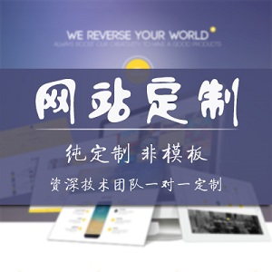网站定制网站建设企业网站网站开发网站制作设计