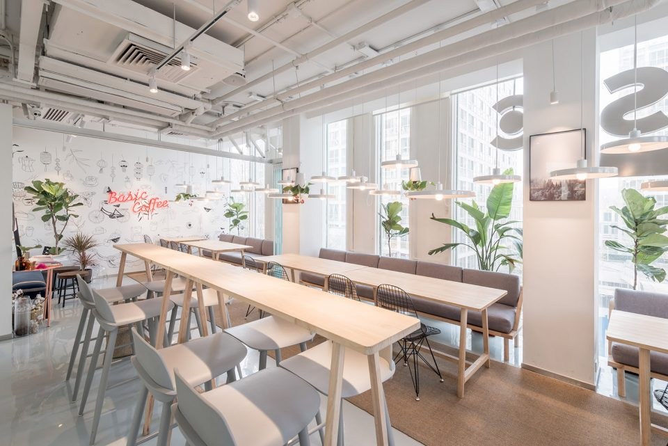 Basic Coffee 都市里的阳光房