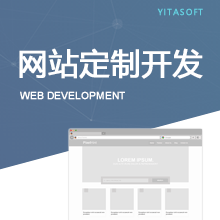 网站建设 / 网站定制化开发 / 高端企业网站建设