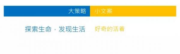 这可能是写好文案的终极秘诀