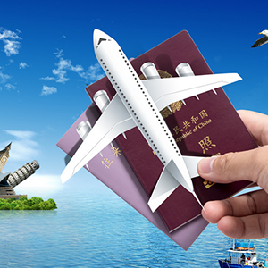 智能签证同分销系统