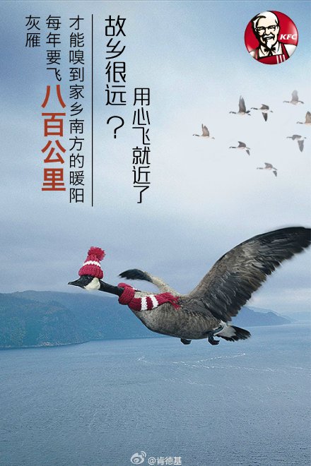 从新年开始！看这8个品牌怎样迎接新年！