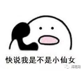 元旦来了,我们为你想好了十句文案