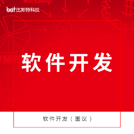 软件开发