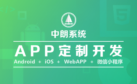 APP定制开发