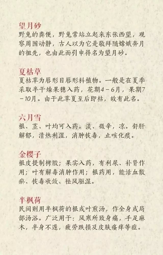 中药名取名，丝毫不输《诗经》《楚辞》