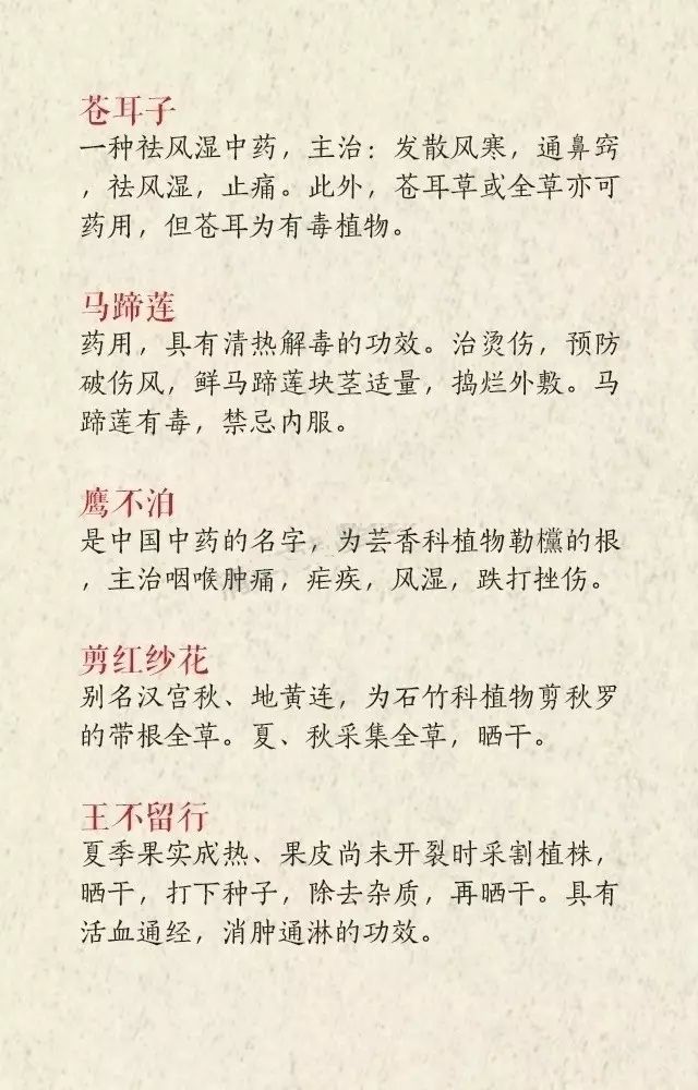 中药名取名，丝毫不输《诗经》《楚辞》