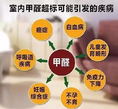你家用了哪些装修甲醛含量最多的材料？