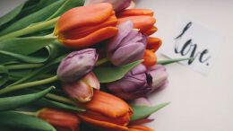 母亲节各大品牌优秀文案合集