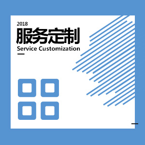服务定制
