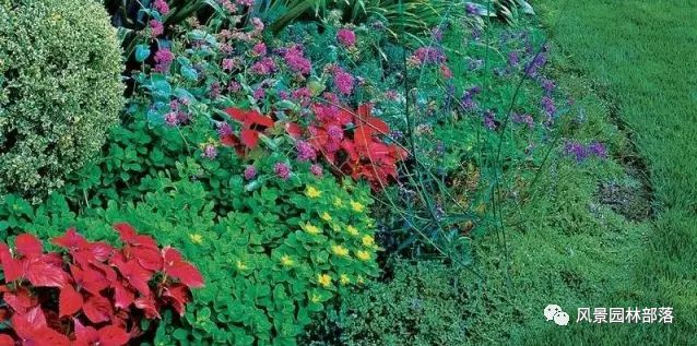 花境设计20例风格