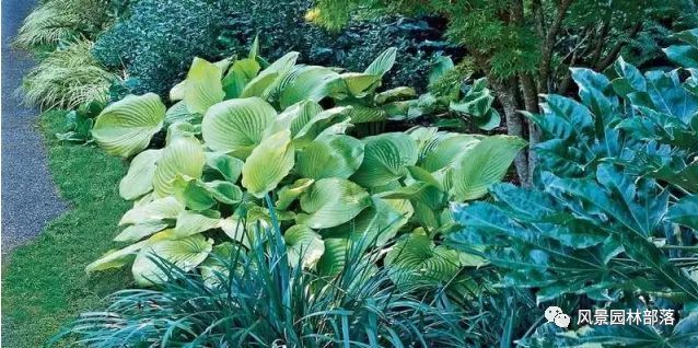花境设计20例风格