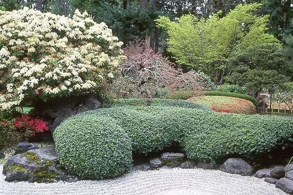 混合花境设计与种植建议