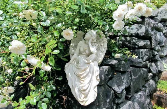 混合花境设计与种植建议