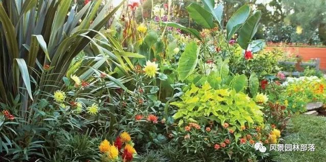 花境设计20例风格