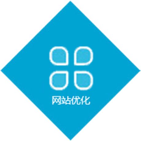 专业网站优化