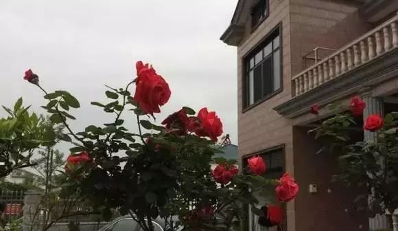 农村自建别墅,花了75万,大家看看效果如何?