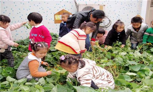 幼儿园教室主题墙设计相关意见