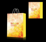美食食品创意环保包装袋设计