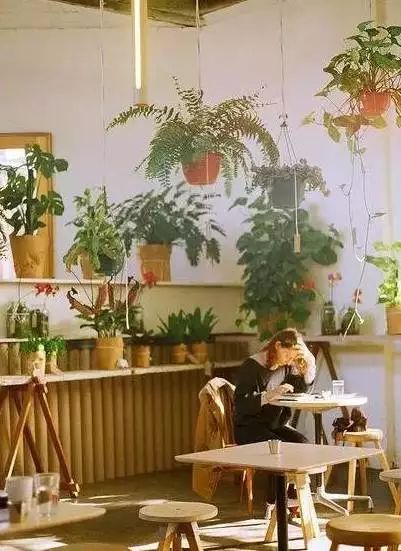 花店装修有门道，你的花店装修好了吗？