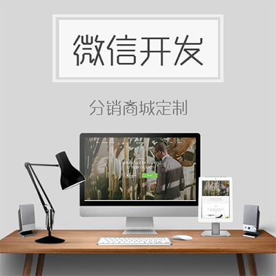 微信分销商城开发